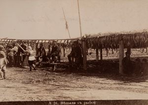 Le s&eacute;chage du poisson listrathan