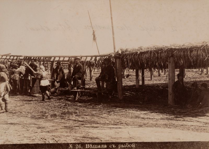 Le séchage du poisson listrathan