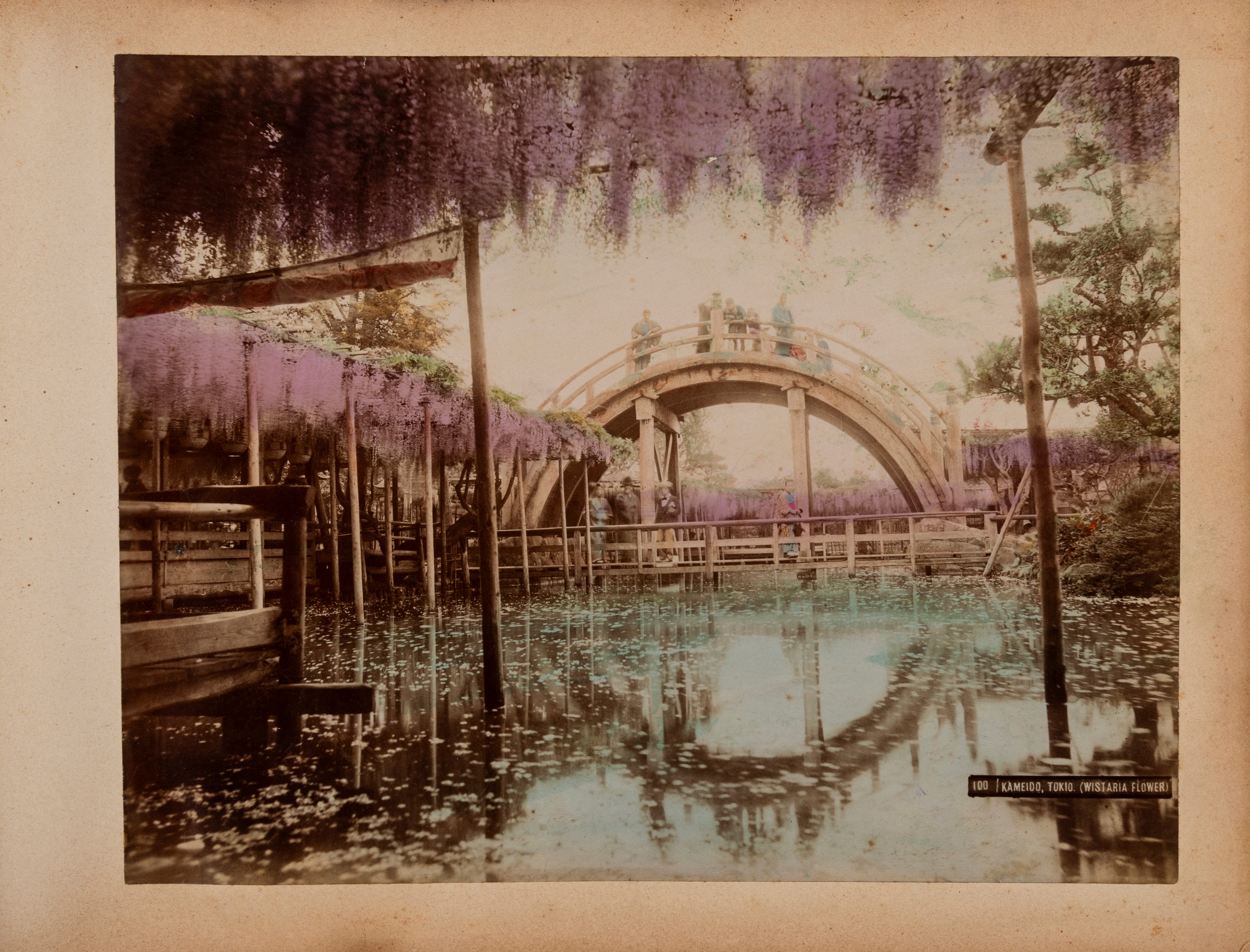 Il viaggio di circumnavigazione della Regia Nave Calabria: Europa, America, Oceania, Asia