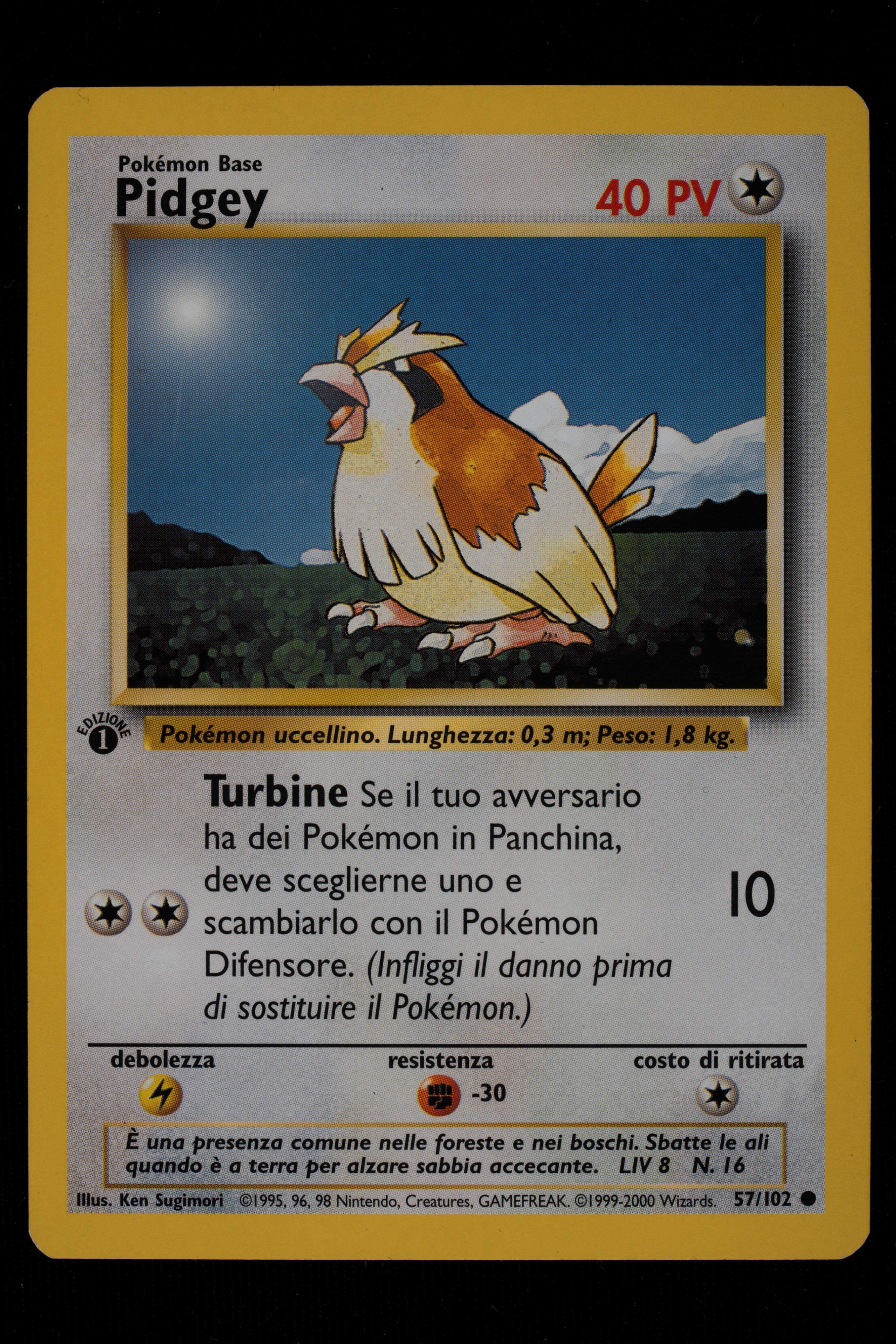 Pidgey e Electrode Set Base 1° Edizione Italian - RAW (Near Mint)