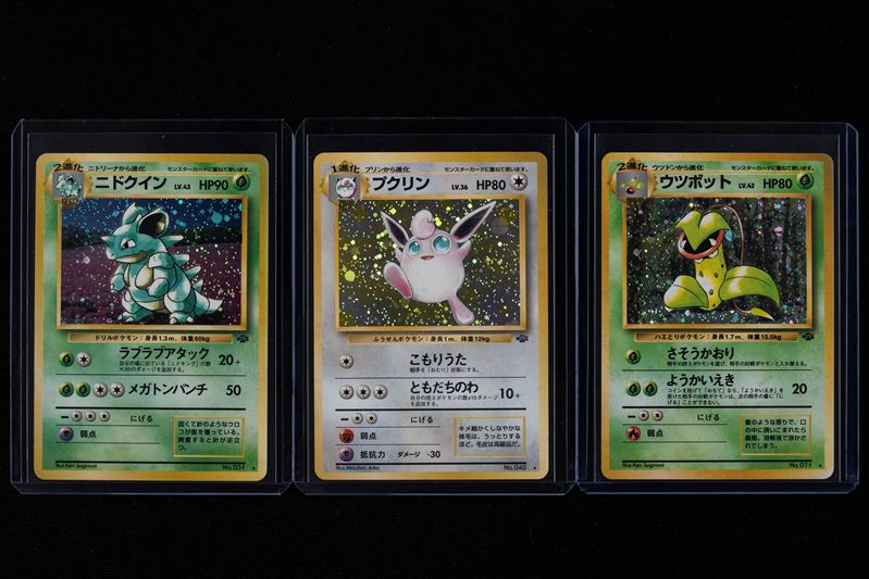 Lotto Jungle Holo Japanese - RAW