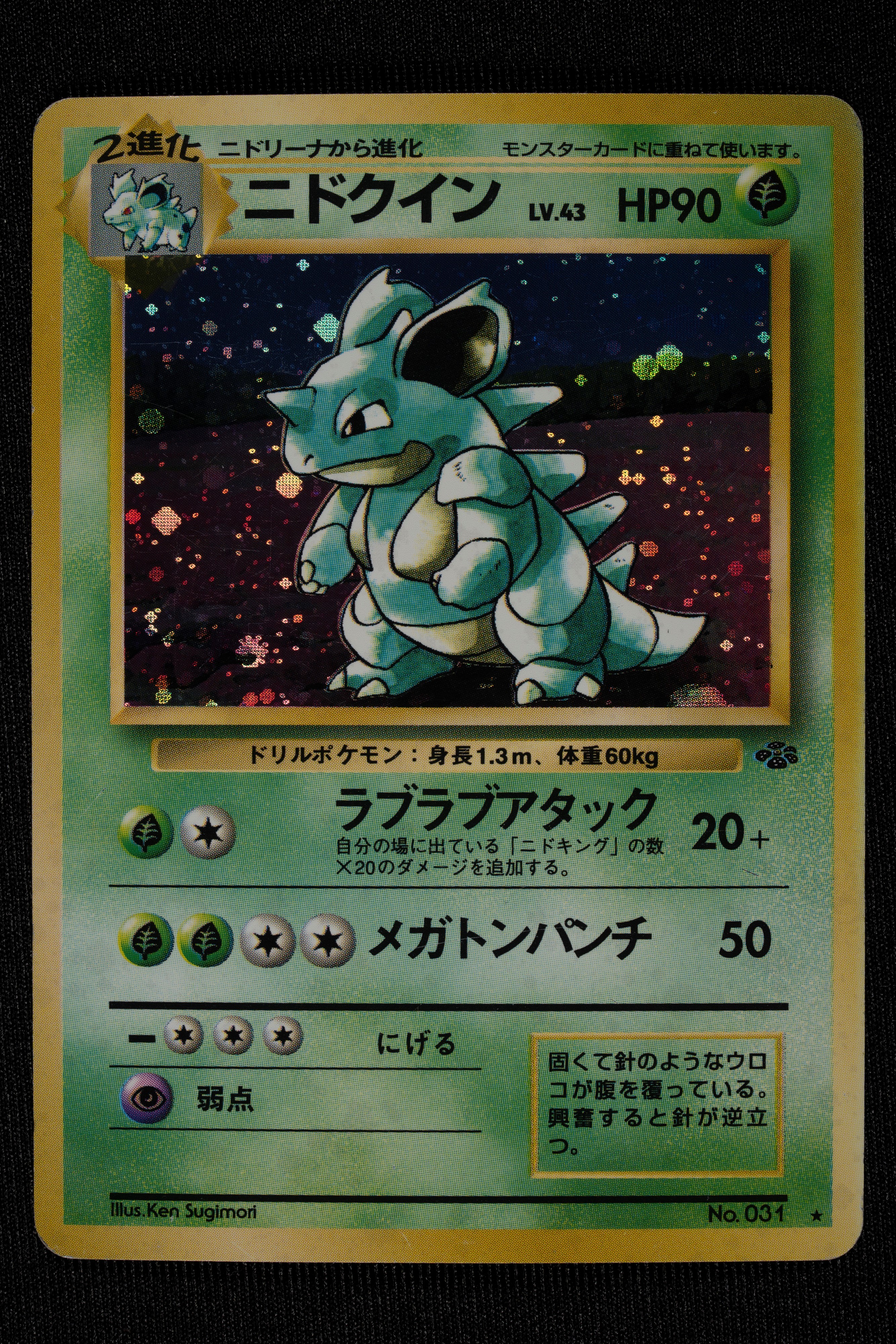 Lotto Jungle Holo Japanese - RAW