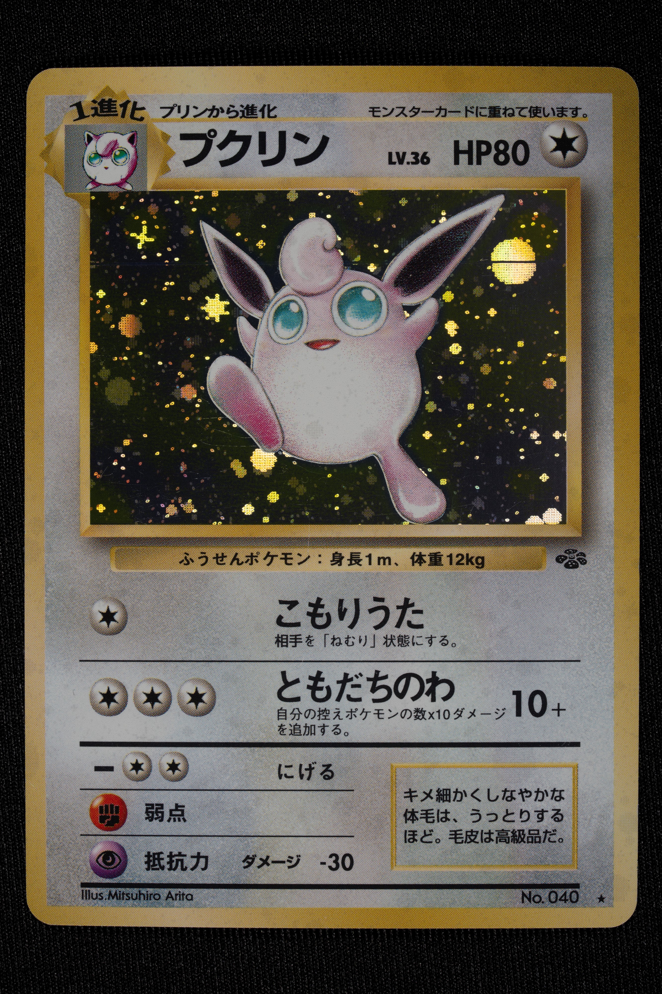 Lotto Jungle Holo Japanese - RAW