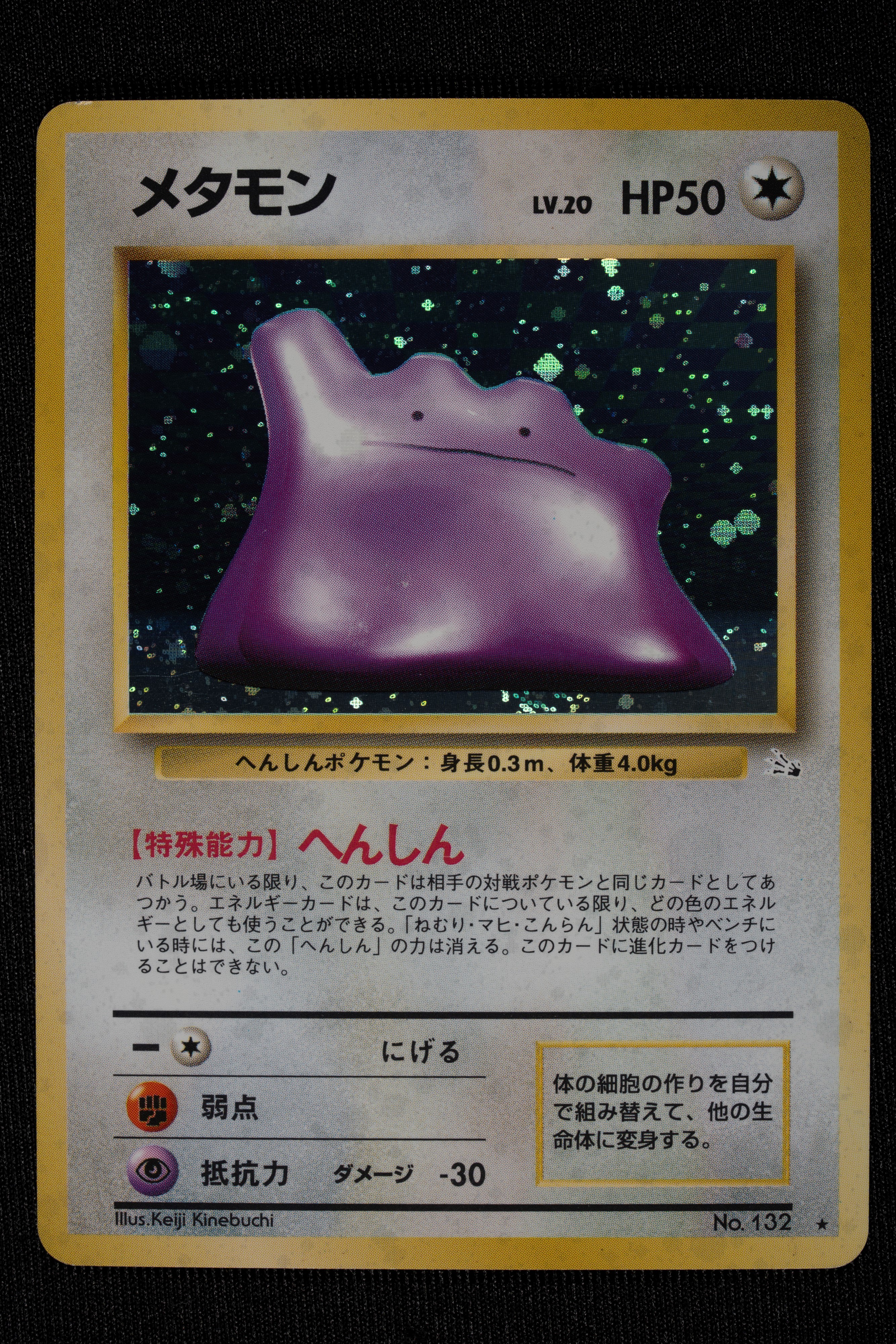 Lotto Fossil Holo Japanese - RAW