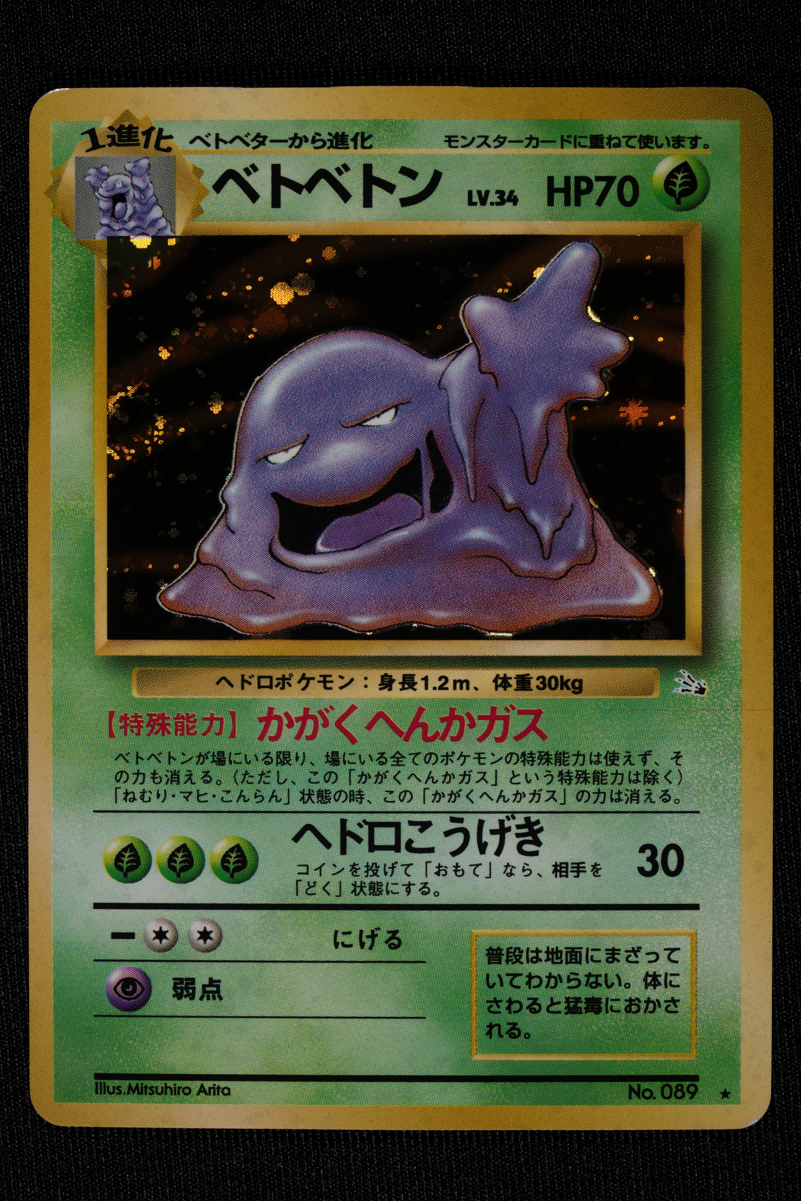 Lotto Fossil Holo Japanese - RAW