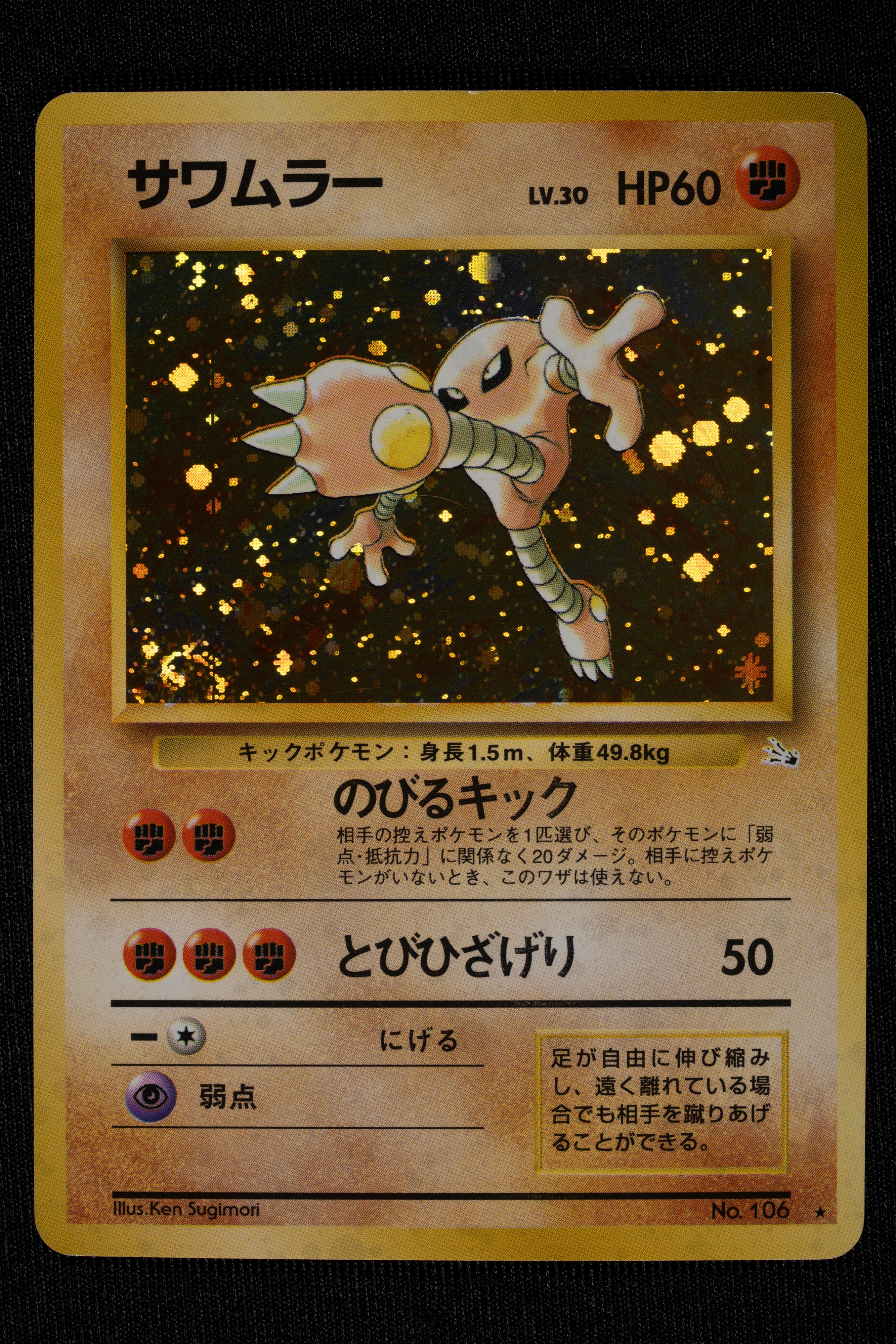 Lotto Fossil Holo Japanese - RAW