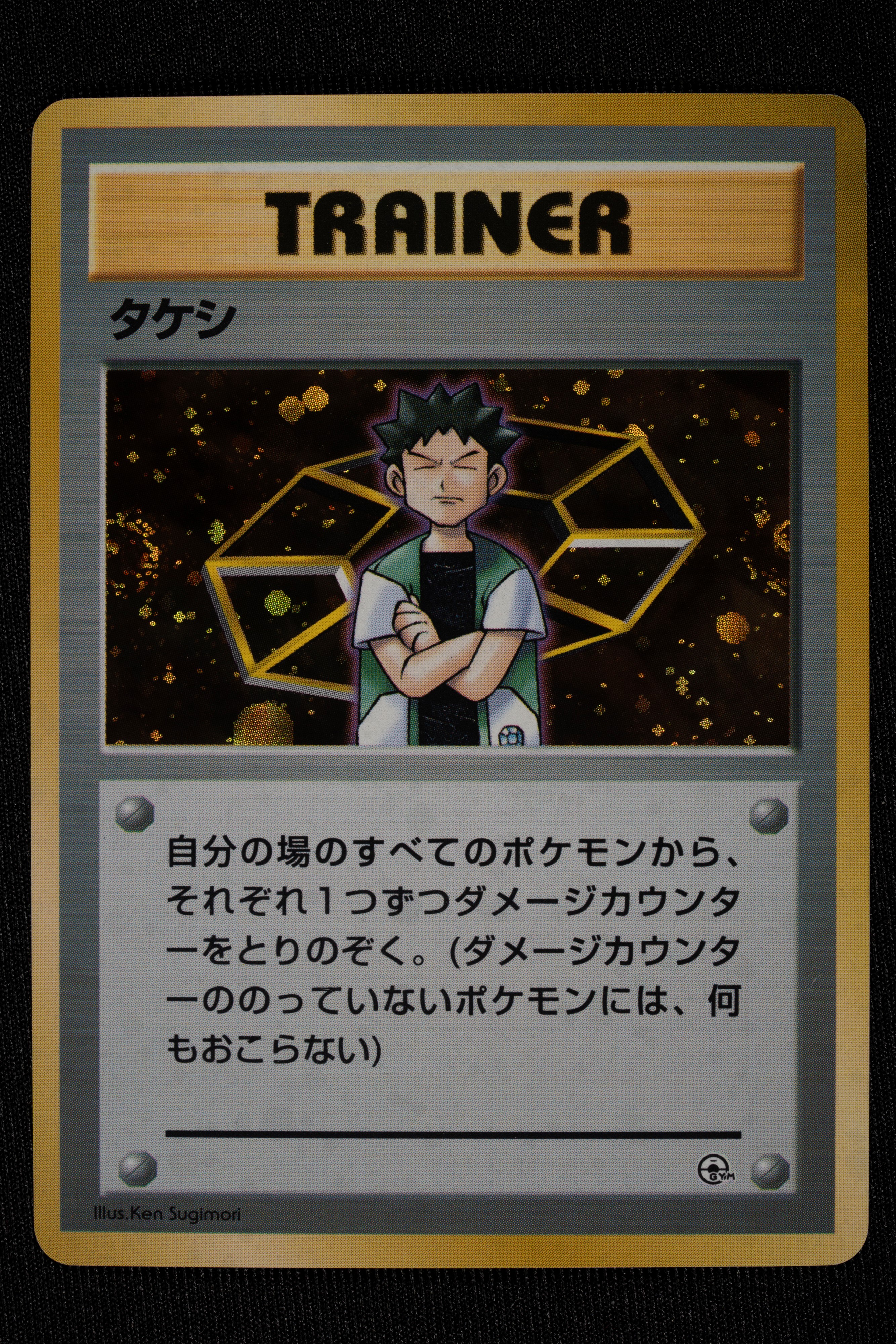 Lotto Completo Trainer Holo Japanese - RAW (Condizioni Miste)