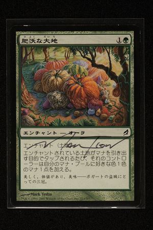 Fertile Ground - Mark Tedin - Lorwyn - JPN - Signed