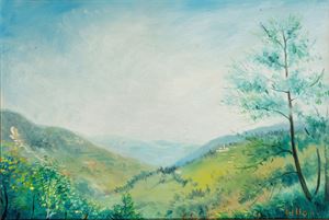 Vallata del Parma
