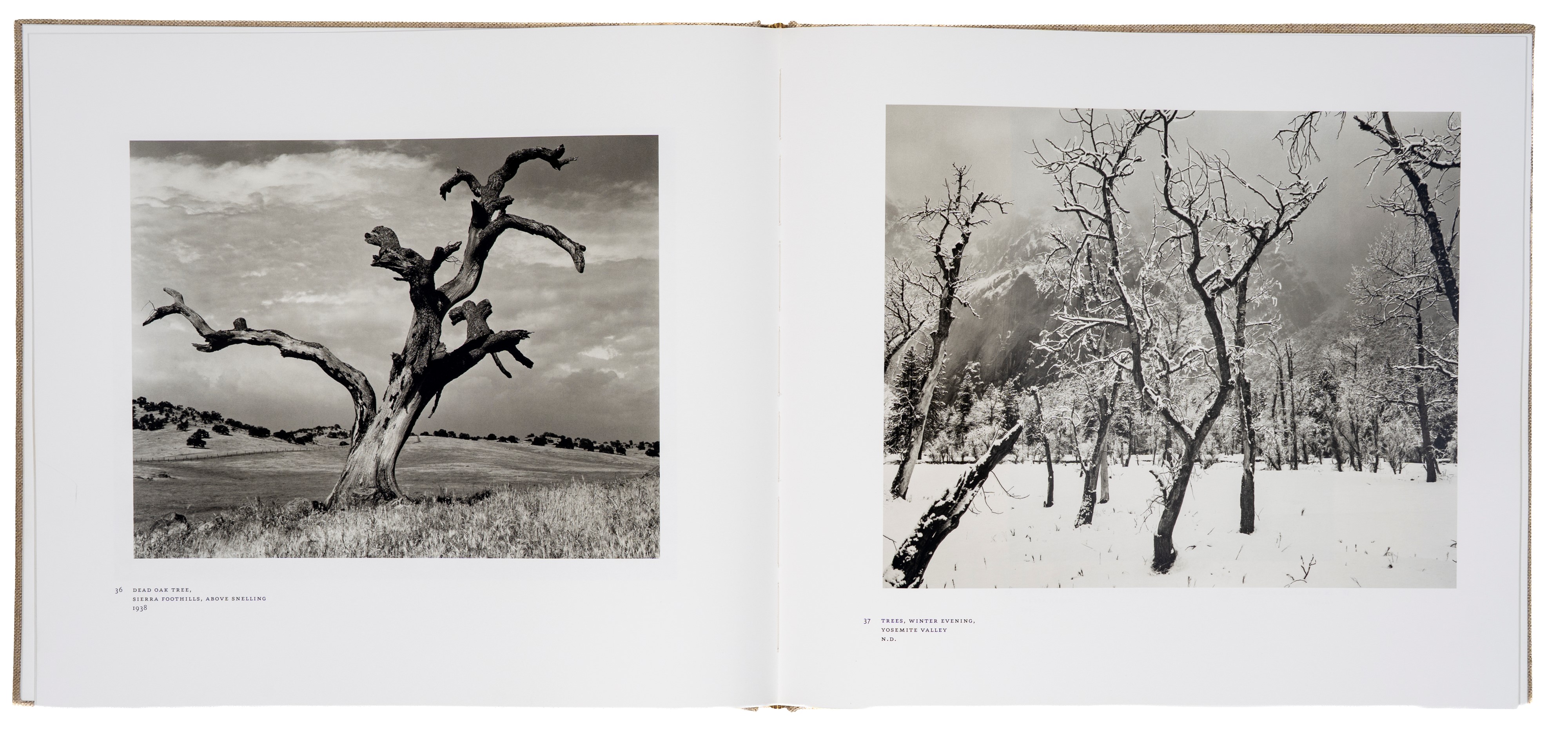 Ansel Adams at 100, fotolibro (2001)