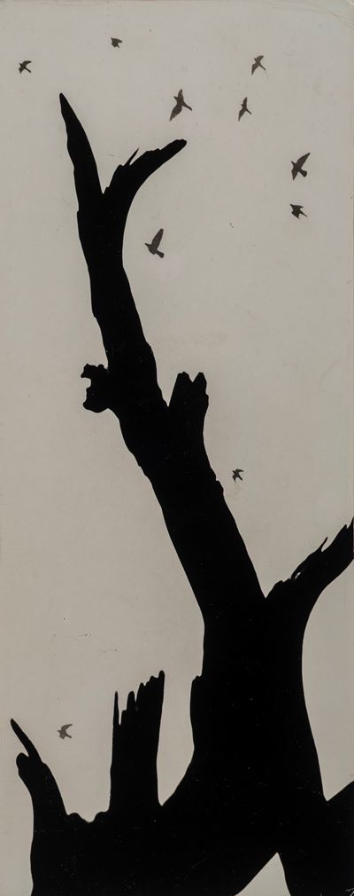 Tree and Birds - Stampa vintage alla gelatina ai sali d'argento