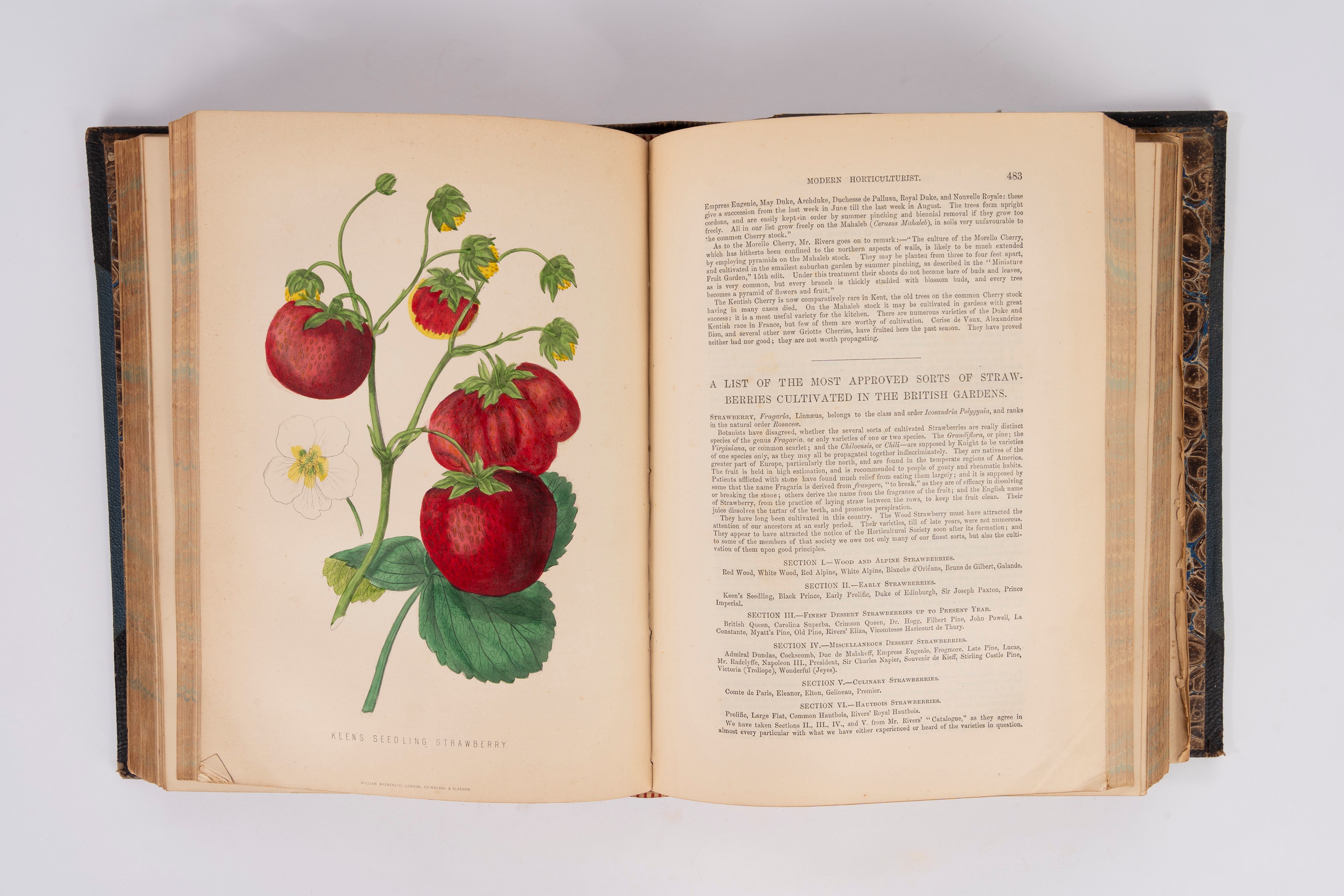 James Anderson - The New Practical Gardener and Modern Horticulturist
