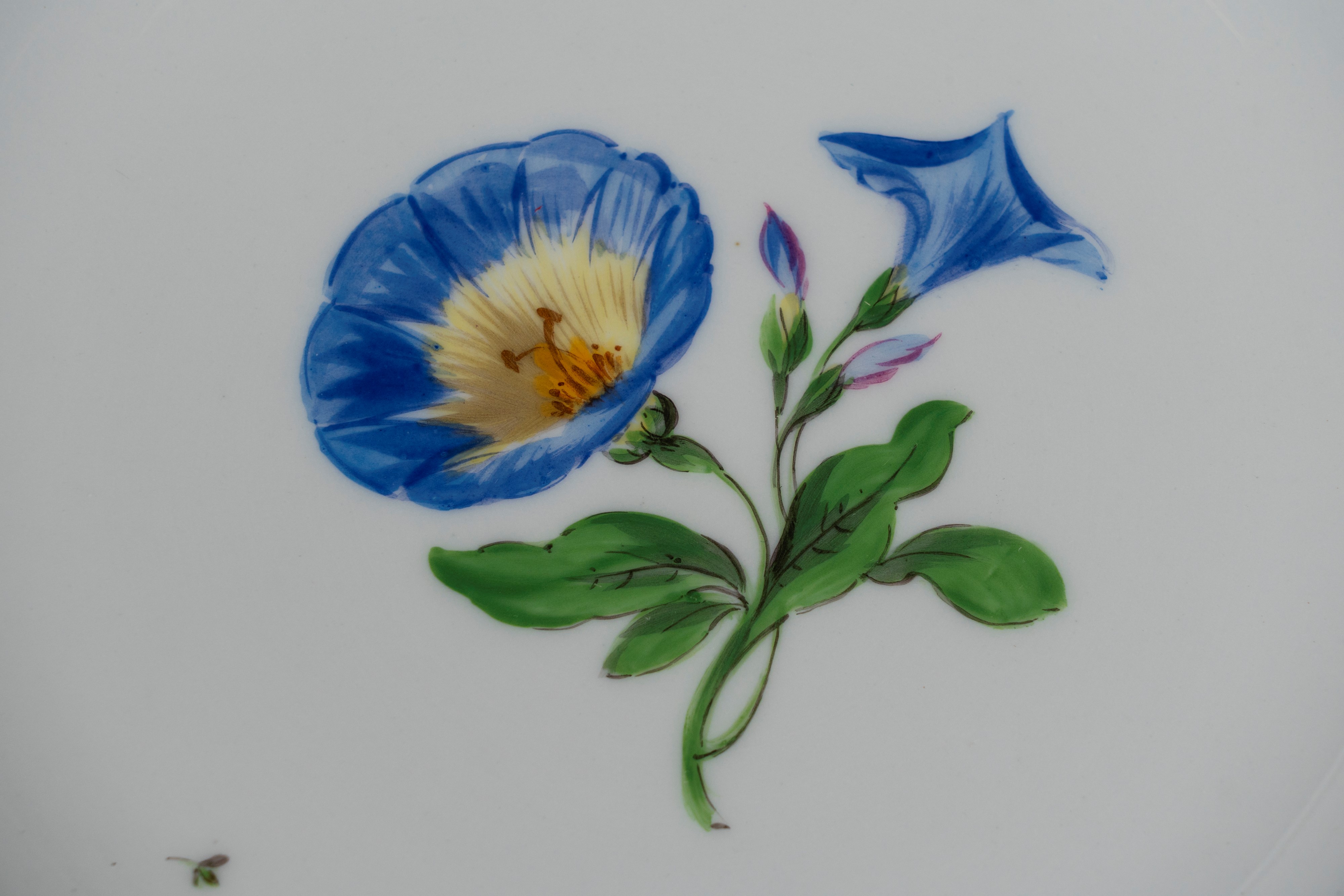 Cinque Tazze con Piattino e Due Piattini da Dolce in Porcellana Decorata a Fiori. Meissen, Fine S...