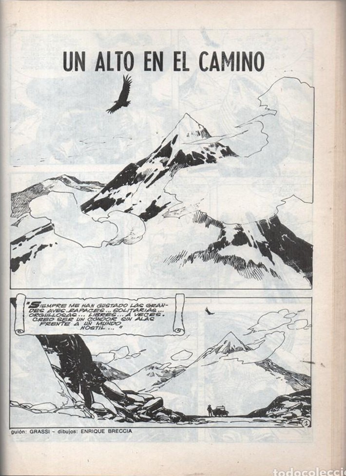 Un alto en el camino