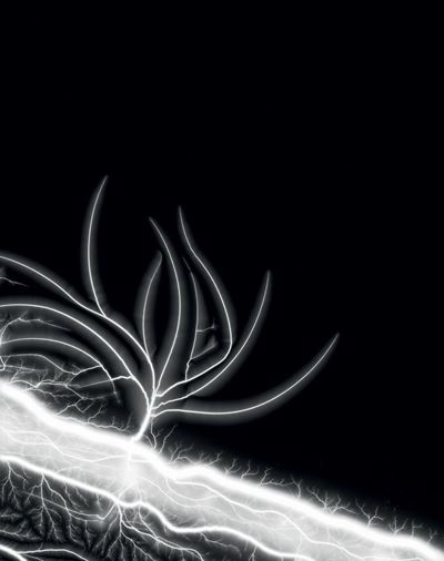 Lightning Fields 289 - Stampa alla gelatina ai sali d'argento, 2014