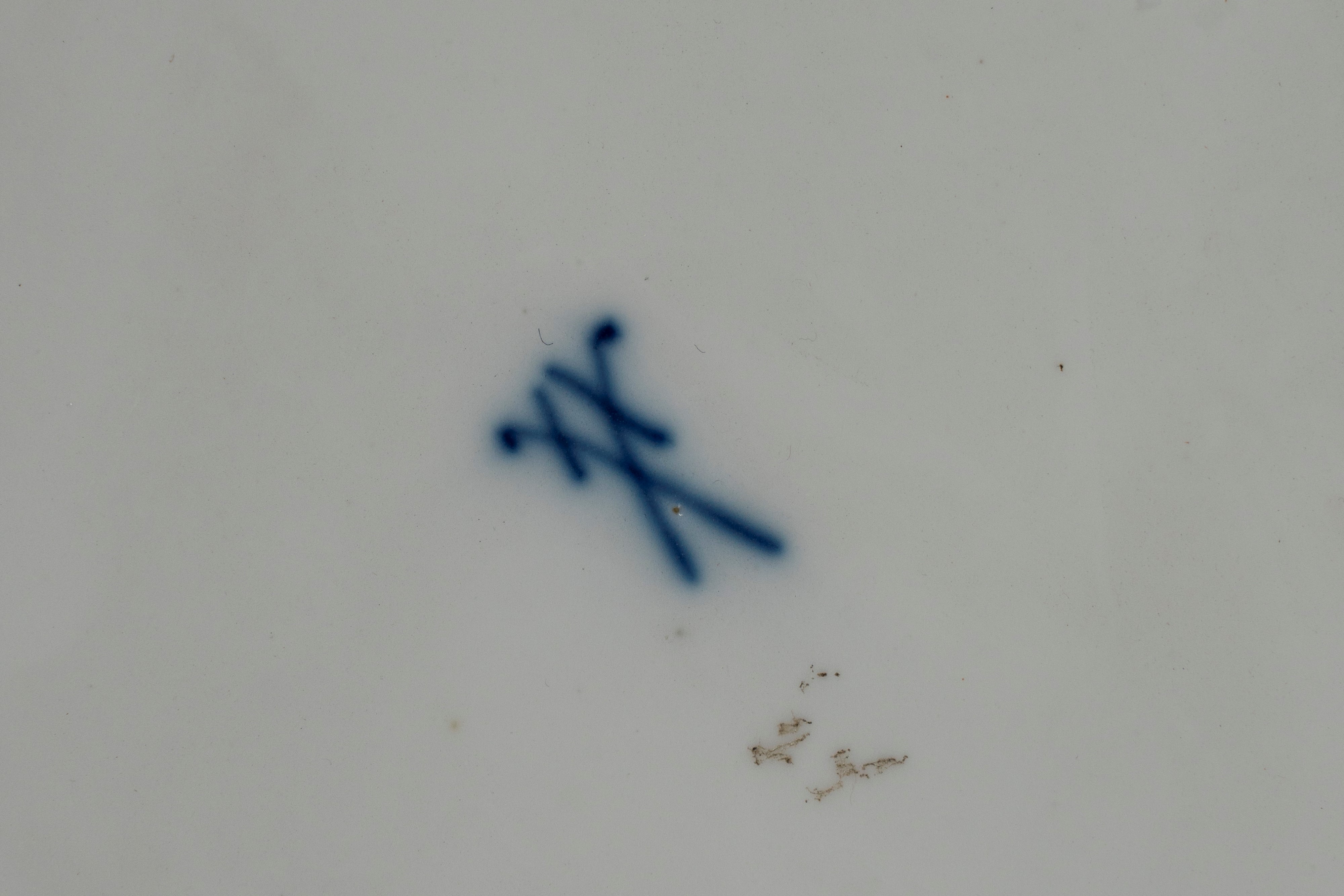 Quattro Piatti in Porcellana Policroma. Manifatture Differenti, Meissen e Ginori, Fine Secolo XIX