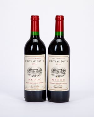 SELEZIONE DI MEDOC APP. MEDOC CONTROLEE CRU BOURGEOIS CHATEAU DAVID 1996 (2 BT)