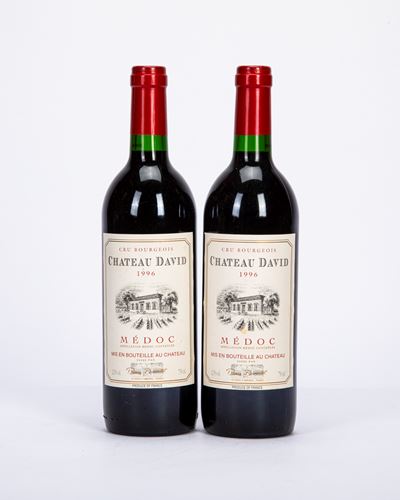 Medoc, selezione di 2 bottiglie — Appellation Médoc contrôlée, Cru Bourgeois (1996)