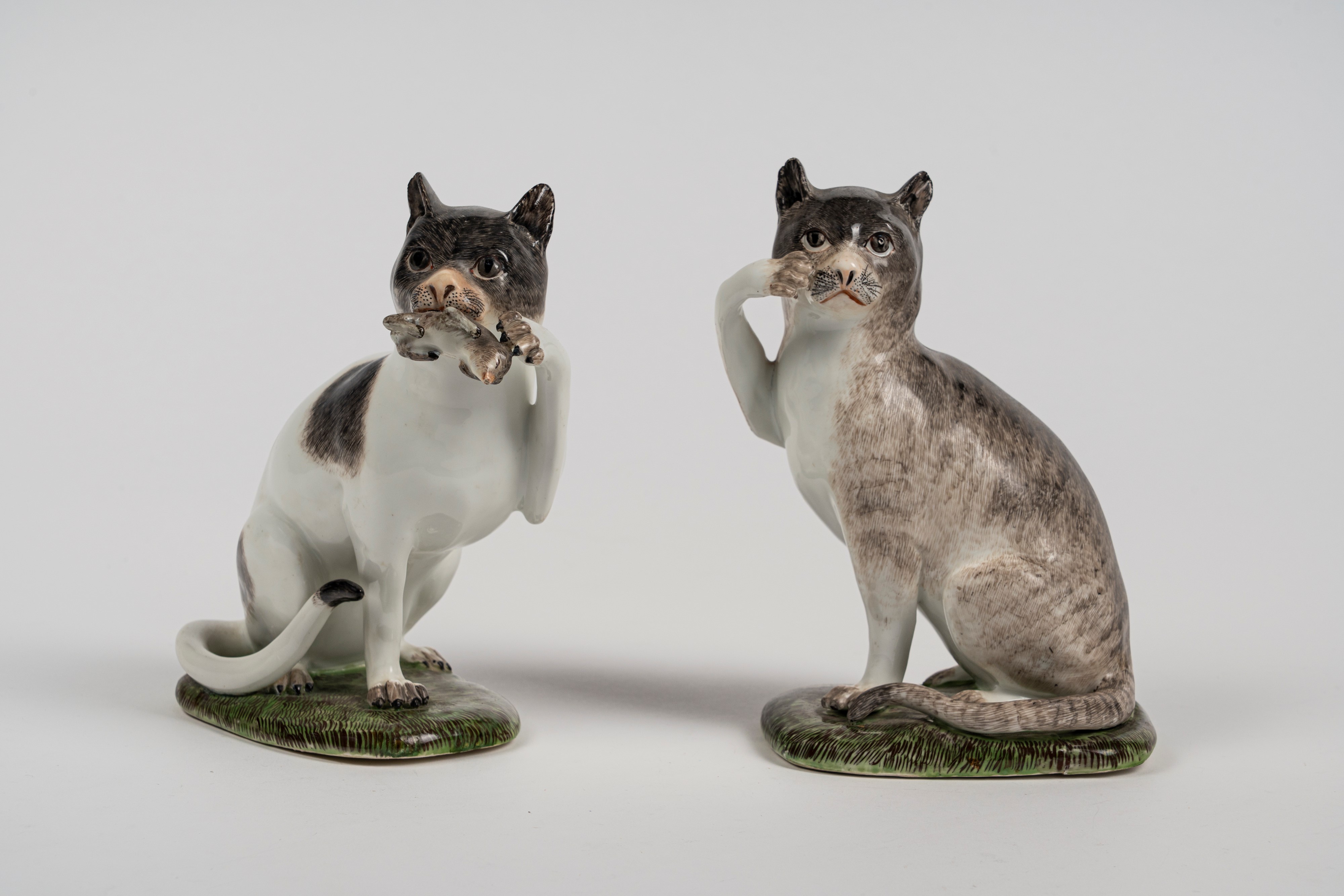 Coppia di figure in porcellana policroma raffiguranti due gatti seduti. Meissen, circa 1740, da u...