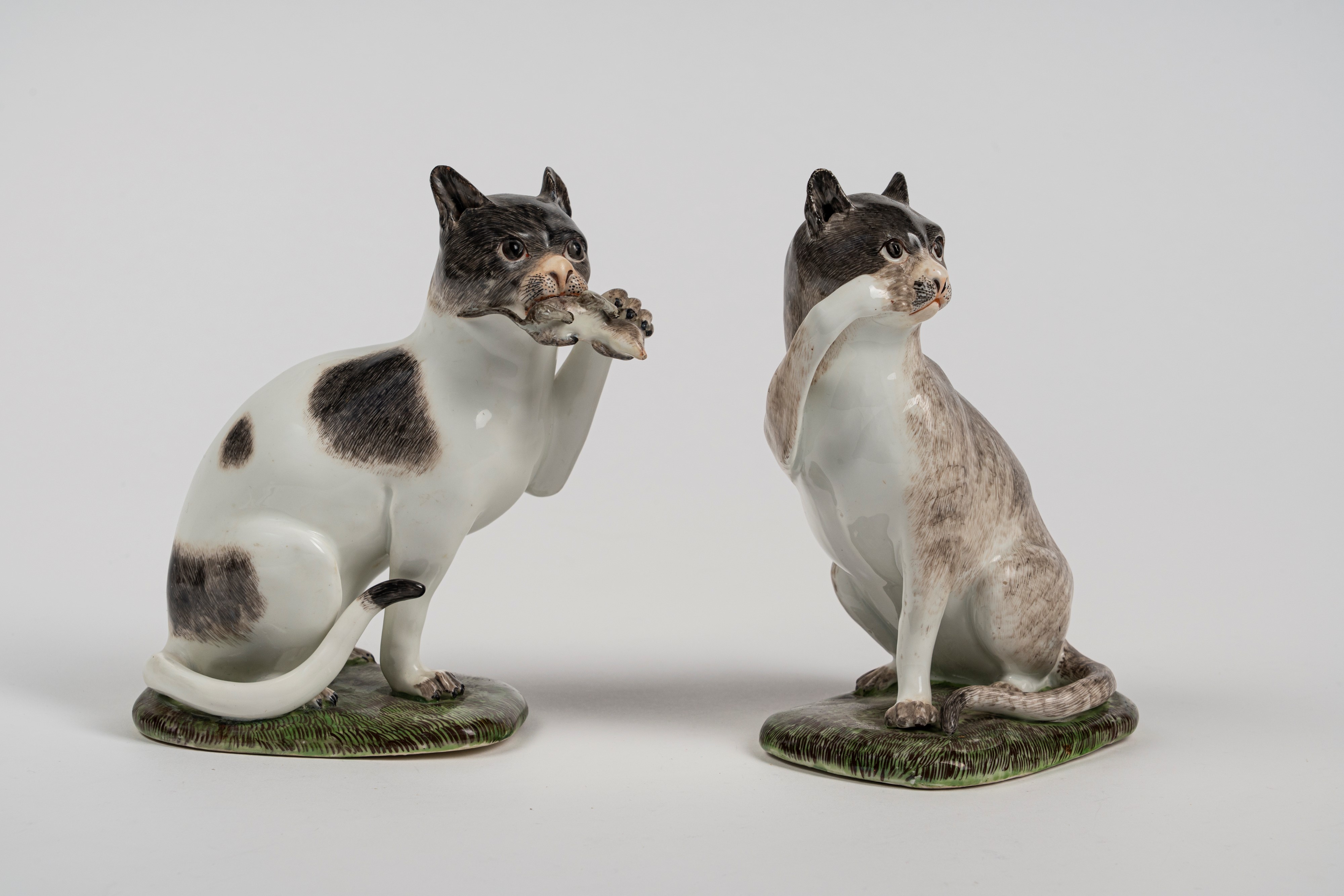 Coppia di figure in porcellana policroma raffiguranti due gatti seduti. Meissen, circa 1740, da u...