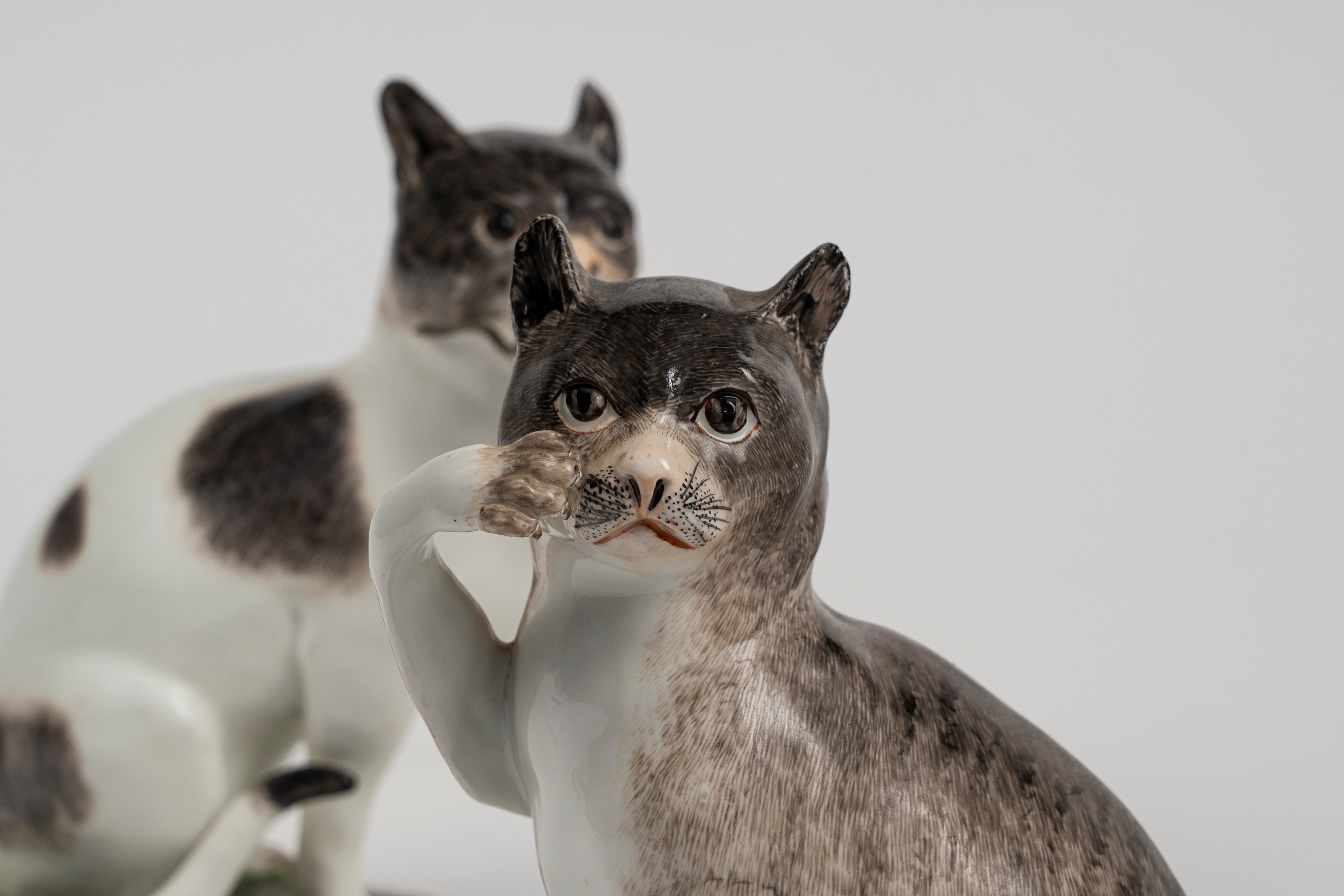 Coppia di figure in porcellana policroma raffiguranti due gatti seduti. Meissen, circa 1740, da u...