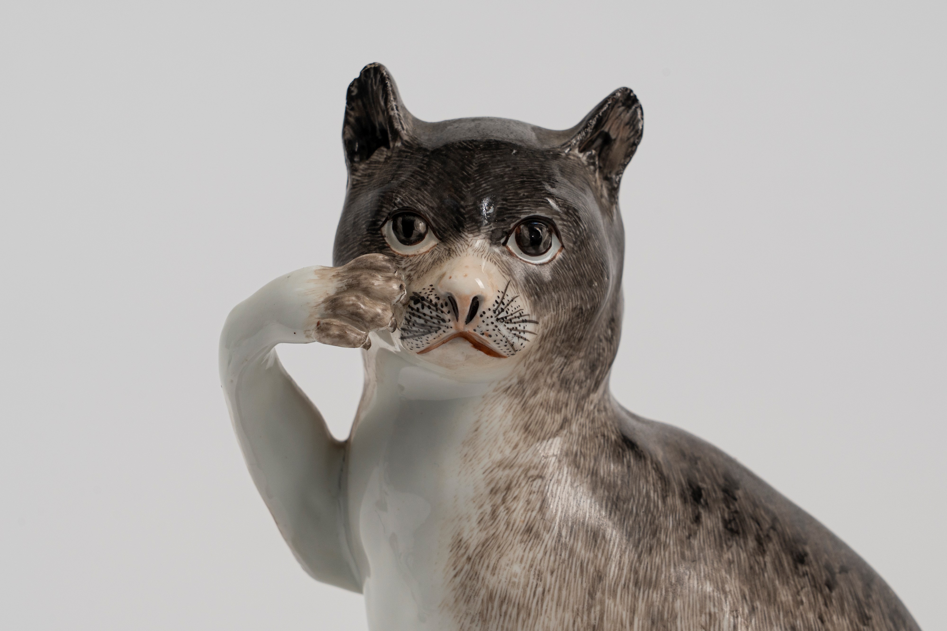 Coppia di figure in porcellana policroma raffiguranti due gatti seduti. Meissen, circa 1740, da u...