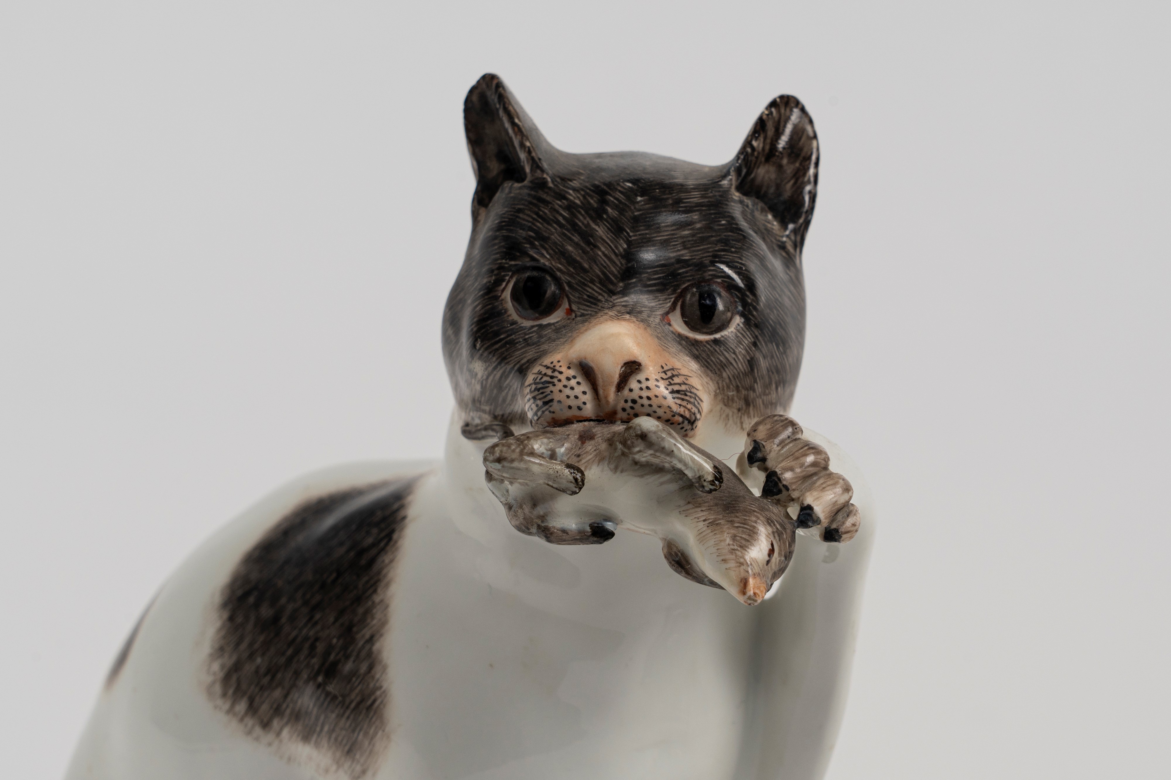 Coppia di figure in porcellana policroma raffiguranti due gatti seduti. Meissen, circa 1740, da u...