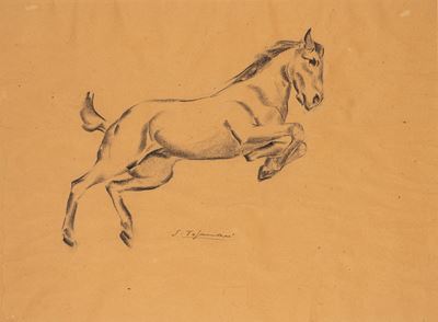 Cavallo