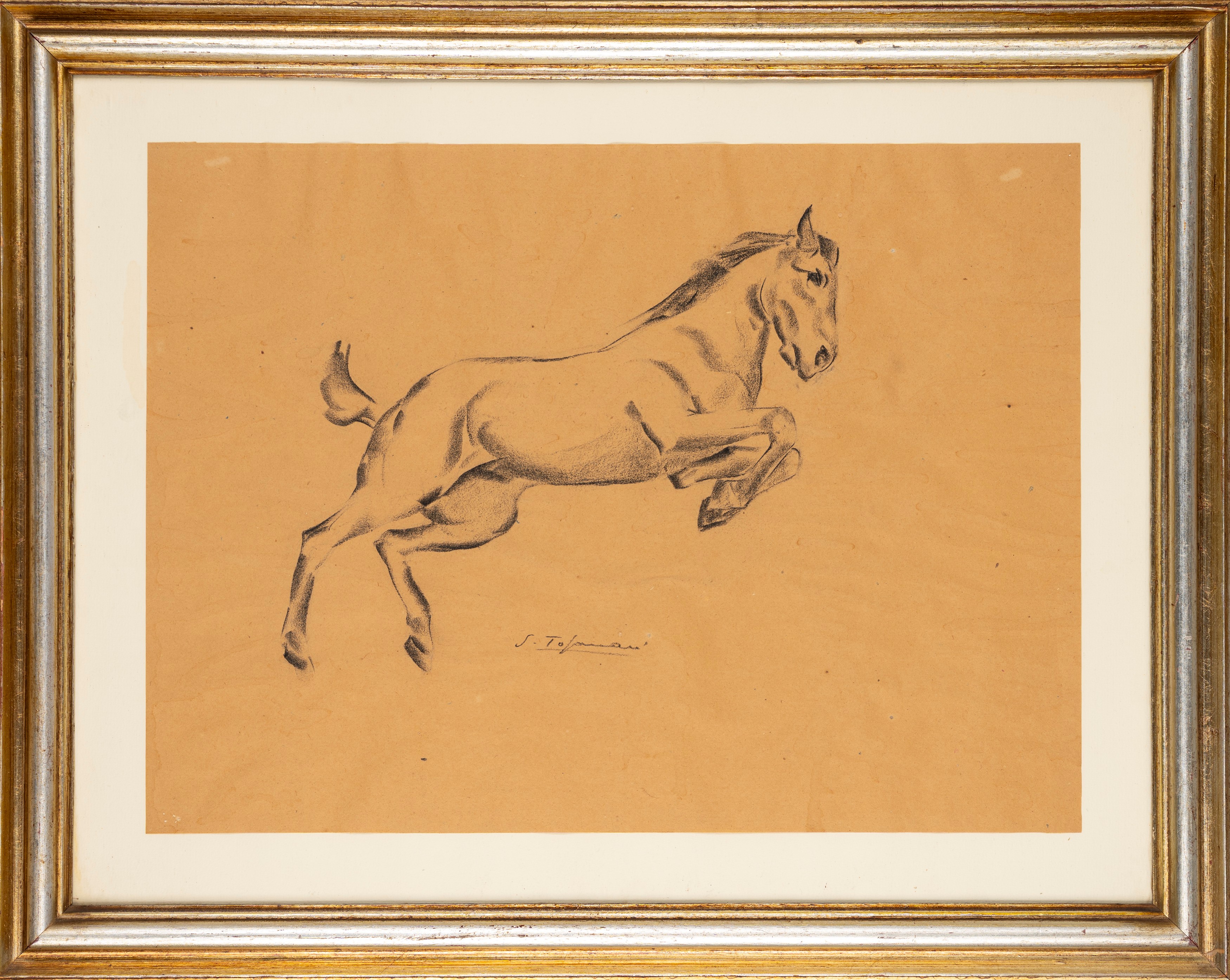 Sirio Tofanari - Cavallo