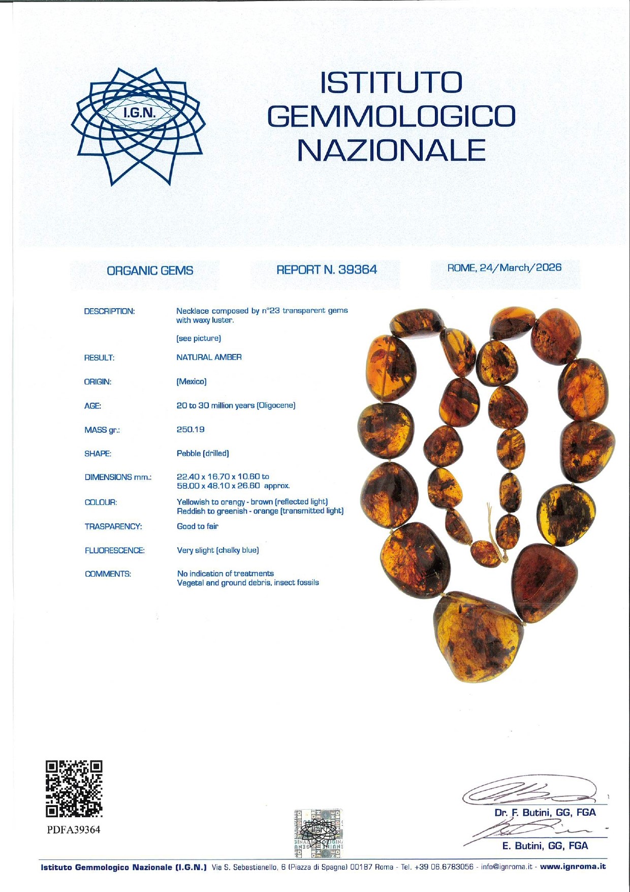 Collana in ambra, filo in ambra (certificato gemmologico IGN Roma n. 39364 del 24/03/2026)