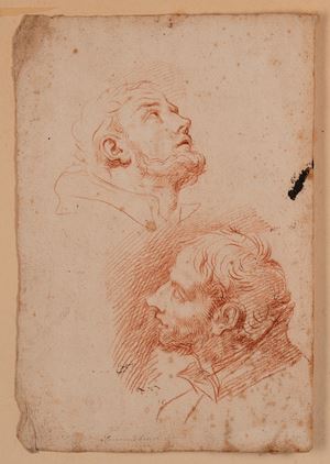 Study of heads