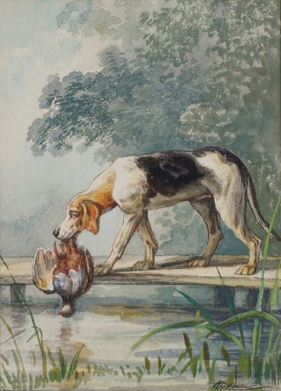 Le chien