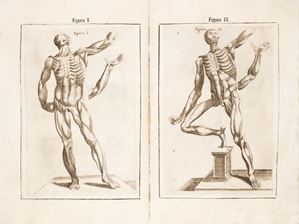 Edizione seicentesca rara di questo classico dell’anatomia cinquecentesca, illustrato da 48 tavole accuratissime tavole anatomiche esemplate su quelle incise su rame da Nicolas Beatrizet su disegno di Gaspar Becerra,  e riprese dal Vesalio, già apparse nell'edizione spagnola del 1556.   Anotomia del corpo humano [...], nouamente ristampata e con l'aggiunta d'alcune tauole ampliata