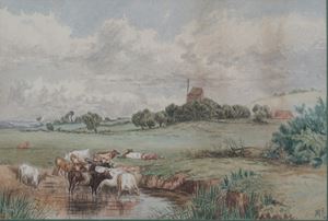 Veduta di campagna