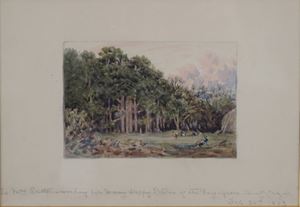 Scorcio di parco con uccelli