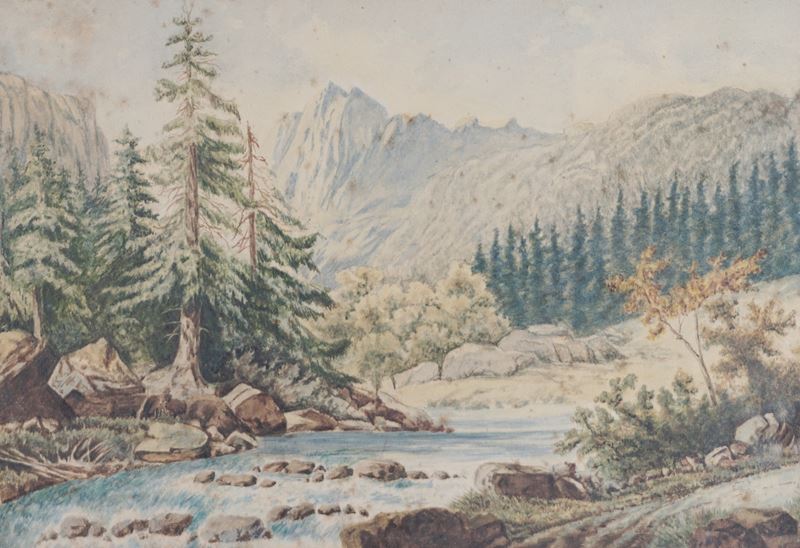 Paesaggio montano con torrente