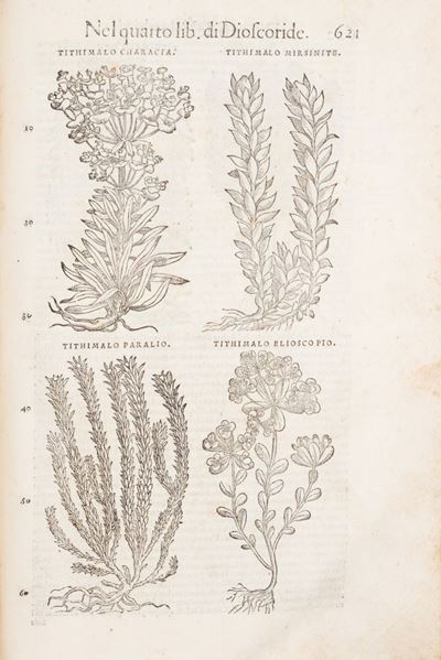 I Discorsi [...] Ne i Sei Libri di Pedacio Dioscoride Anazarbeo della Materia Medicinale