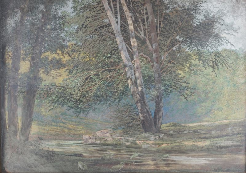 Paesaggio boschivo con ruscello e ranocchi