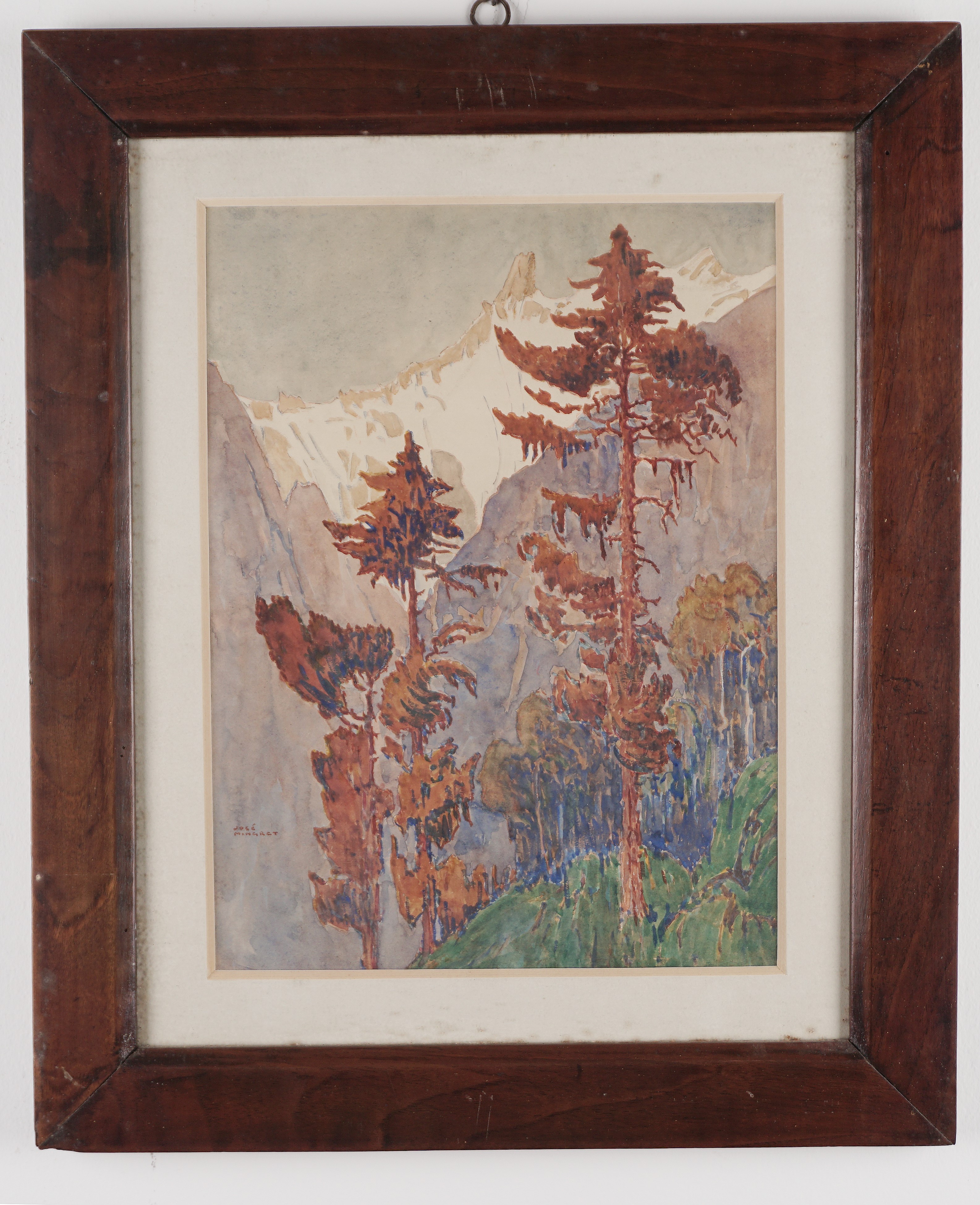 Paesaggio alpino