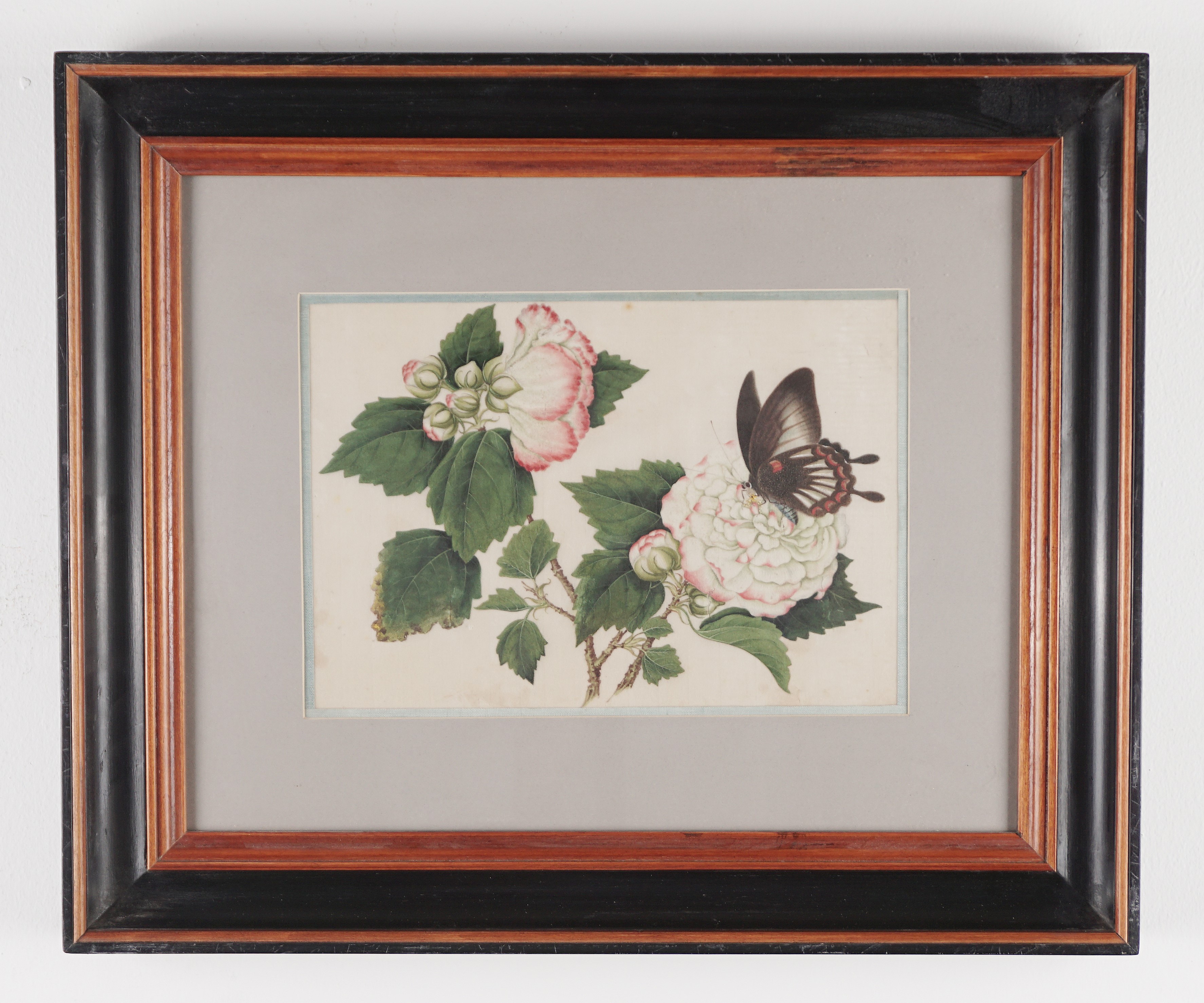 Fiori e farfalla