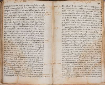 Liber De Homine