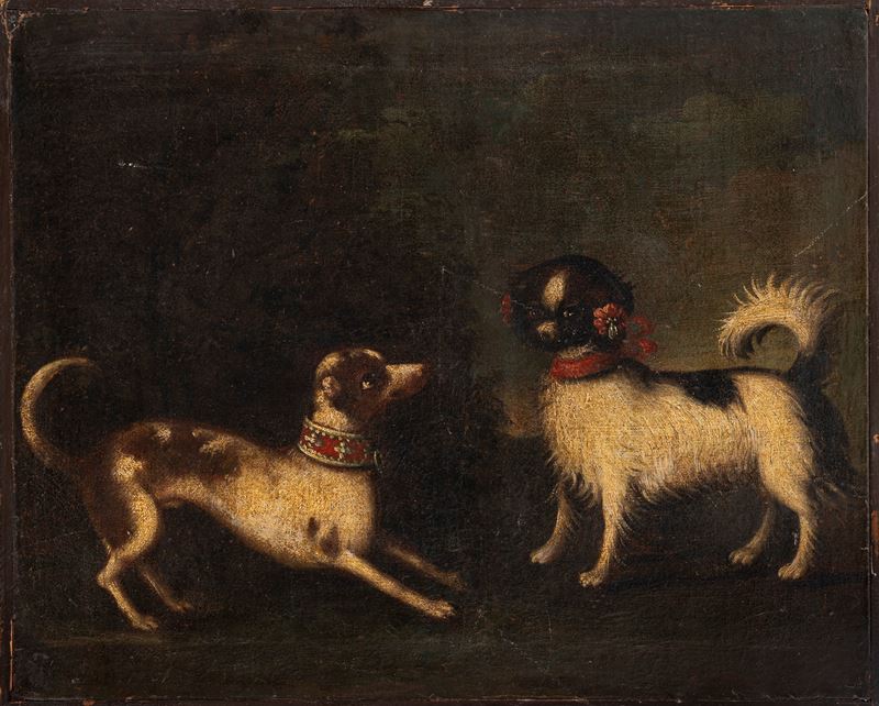 Due cagnolini che giocano