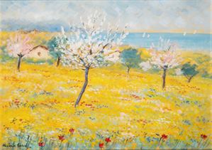 Paesaggio
