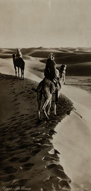 Egypt - The Desert