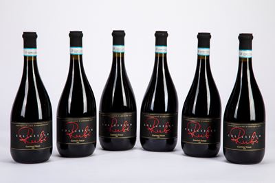 Montepulciano d'Abruzzo Colle Secco, Cantina Tollo (6 BT)