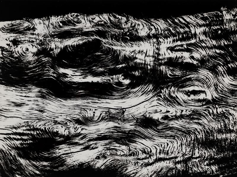 Paesaggio, Motivo suggerito dal taglio dell'albero