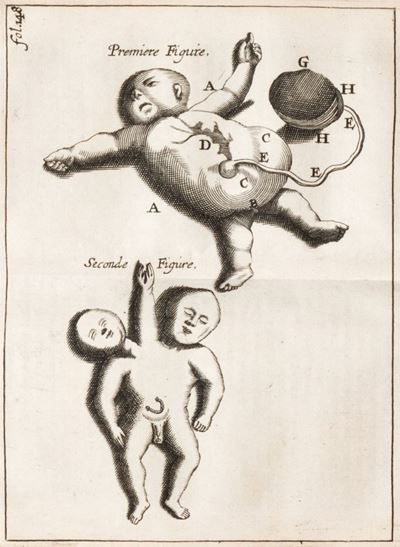 Recueil Des Mémoires Et Conférences Qui Ont Esté Présentées À Monseigneur le Dauphin