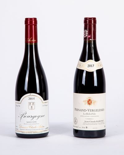 Selezione Bourgogne: 2 Bottiglie - Domaine Charles Audoin, 2014 e Pernand-Vergelesses Jean-Claude...