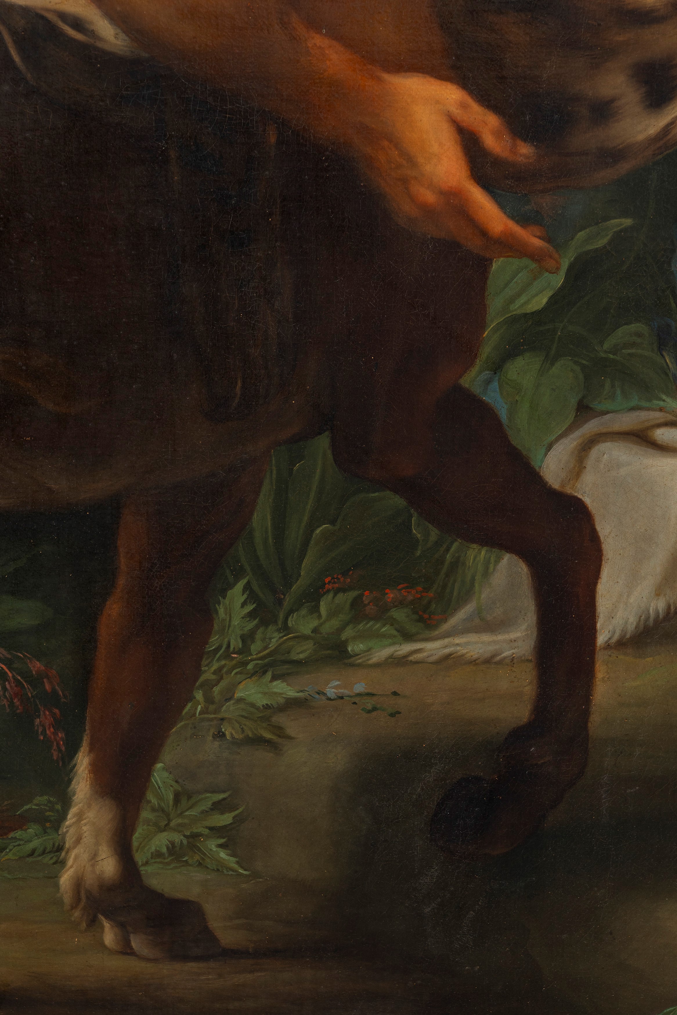 Cristoforo Unterperger - Apollo consegna Esculapio al centauro Chirone, olio su tela