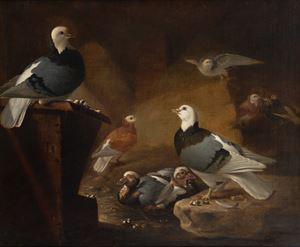 Pigeons in an interior
